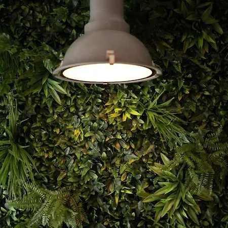 Loft Design 600m Zur Messe/lanxess דירה *